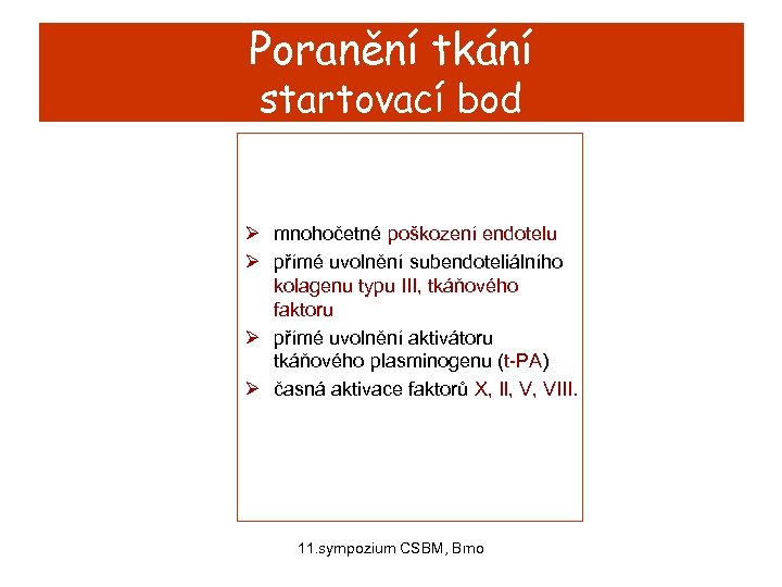 Poranění tkání startovací bod Ø mnohočetné poškození endotelu Ø přímé uvolnění subendoteliálního kolagenu typu