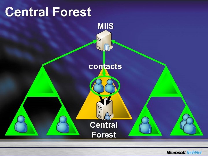 Central Forest MIIS contacts Central Forest 