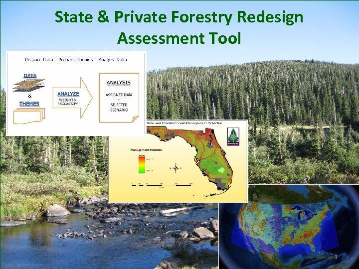 State & Private Forestry Redesign Assessment Tool 1 