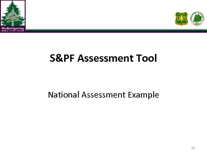 S&PF Assessment Tool National Assessment Example 18 