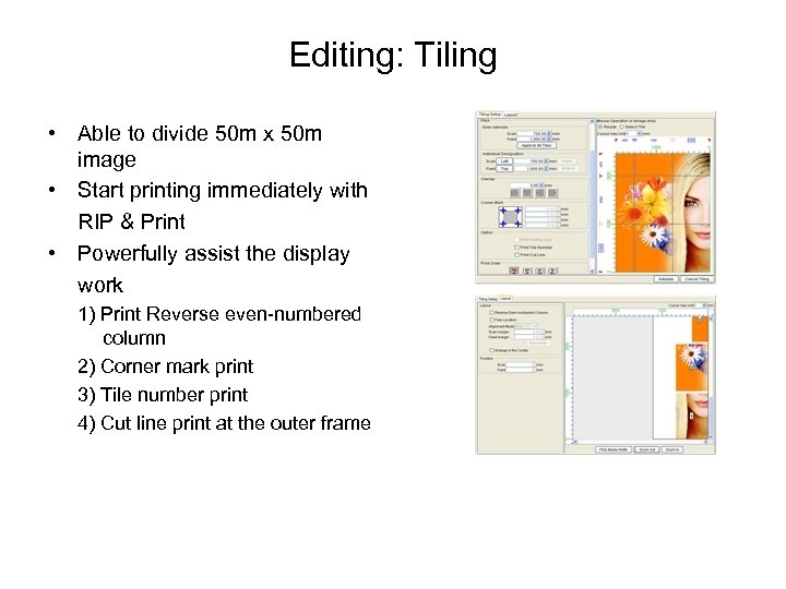 Editing: Tiling • Able to divide 50 m x 50 m image • Start