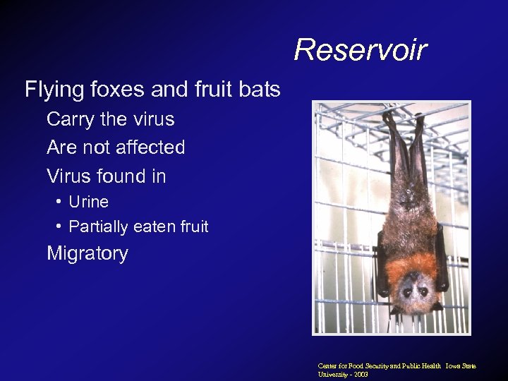 Reservoir Flying foxes and fruit bats Carry the virus Are not affected Virus found