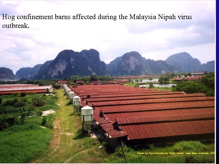 Hog confinement barns affected during the Malaysia Nipah virus outbreak. Center for Food Security