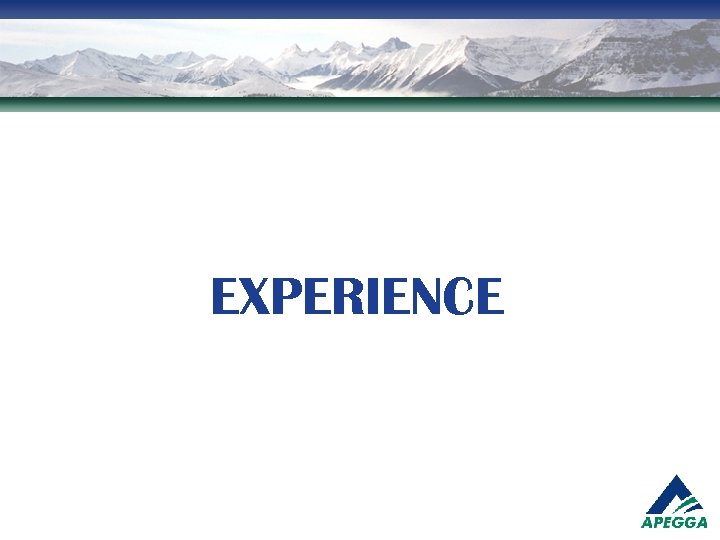EXPERIENCE 