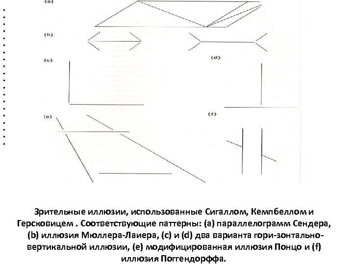  • • • • • Зрительные иллюзии, использованные Сигаллом, Кемпбеллом и Герсковицем. Соответствующие