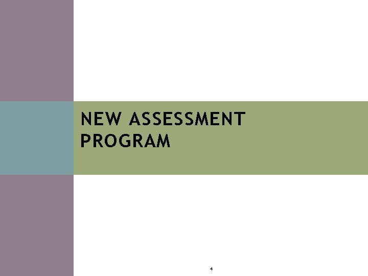 NEW ASSESSMENT PROGRAM 4 