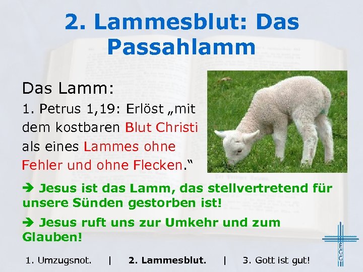 2. Lammesblut: Das Passahlamm Das Lamm: 1. Petrus 1, 19: Erlöst „mit dem kostbaren
