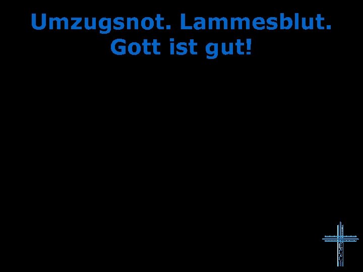 Umzugsnot. Lammesblut. Gott ist gut! 