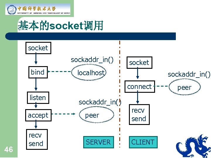 基本的socket调用 socket sockaddr_in() bind socket localhost sockaddr_in() connect listen sockaddr_in() accept 46 peer recv