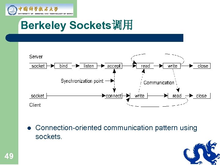 Berkeley Sockets调用 l 49 Connection-oriented communication pattern using sockets. 