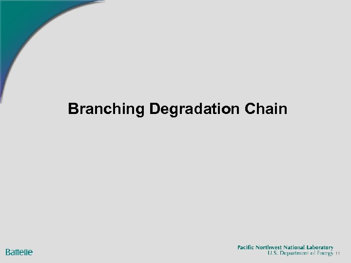Branching Degradation Chain 11 