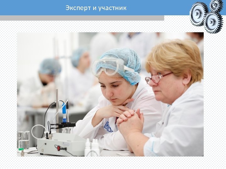 Эксперт и участник 