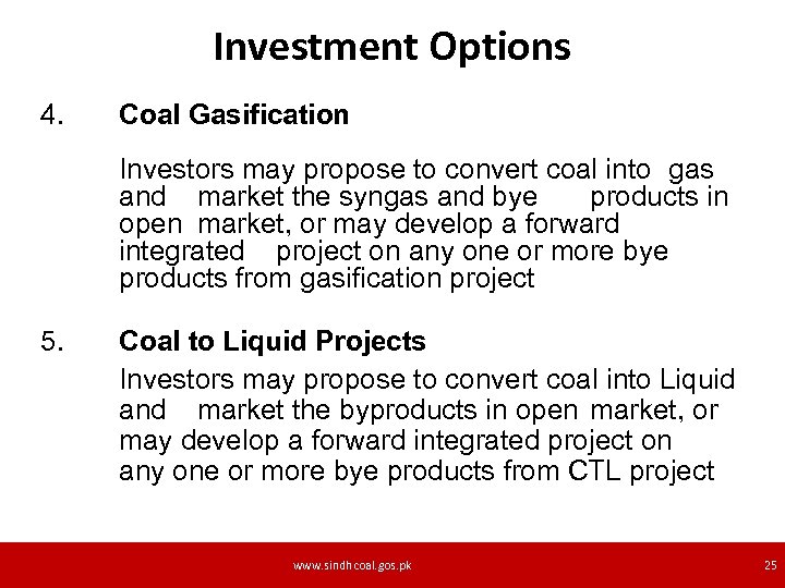 Investment Options 4. Coal Gasification Investors may propose to convert coal into gas and