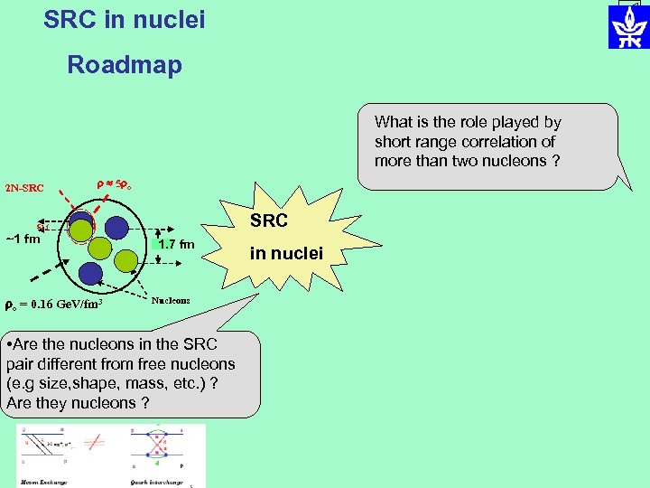 SRC in nuclei Roadmap What is the role played by short range correlation of