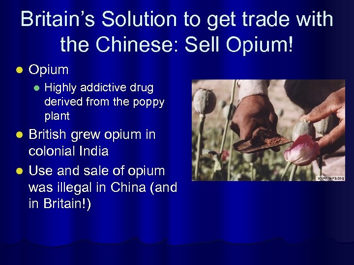Britain’s Solution to get trade with the Chinese: Sell Opium! l Opium l Highly