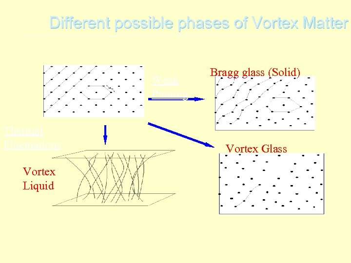 Different possible phases of Vortex Matter Weak Pinning Thermal Fluctuations Vortex Liquid Bragg glass