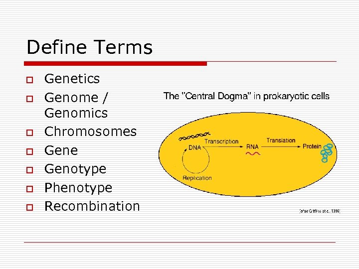 Define Terms o o o o Genetics Genome / Genomics Chromosomes Gene Genotype Phenotype