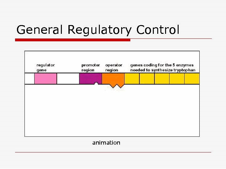 General Regulatory Control animation 