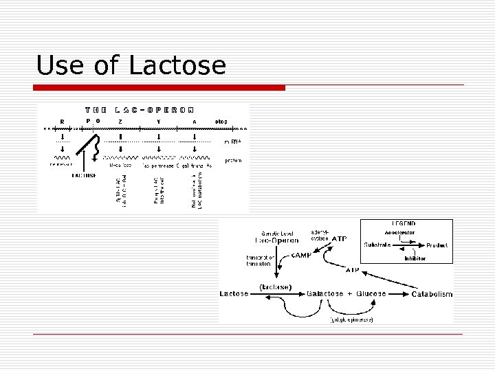 Use of Lactose 