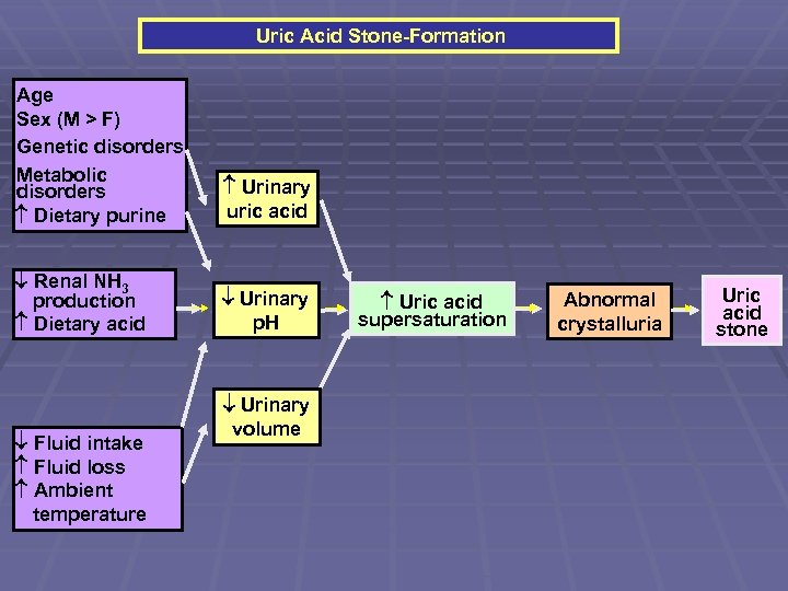  Uric Acid Stone-Formation Age Sex (M > F) Genetic disorders Metabolic disorders Dietary