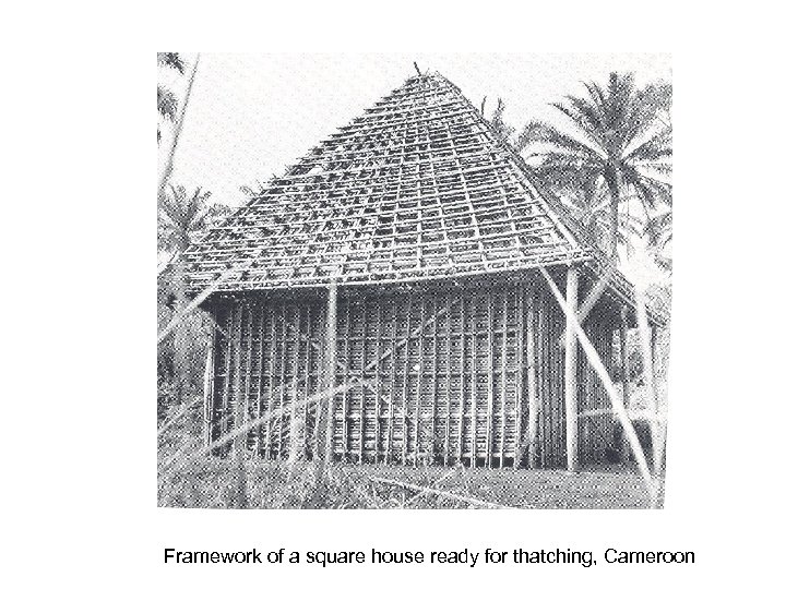 Framework of a square house ready for thatching, Cameroon 