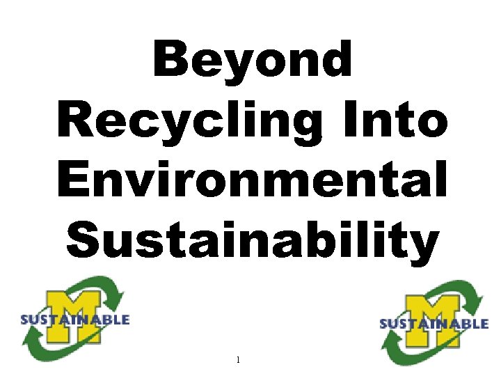 Beyond Recycling Into Environmental Sustainability 1 