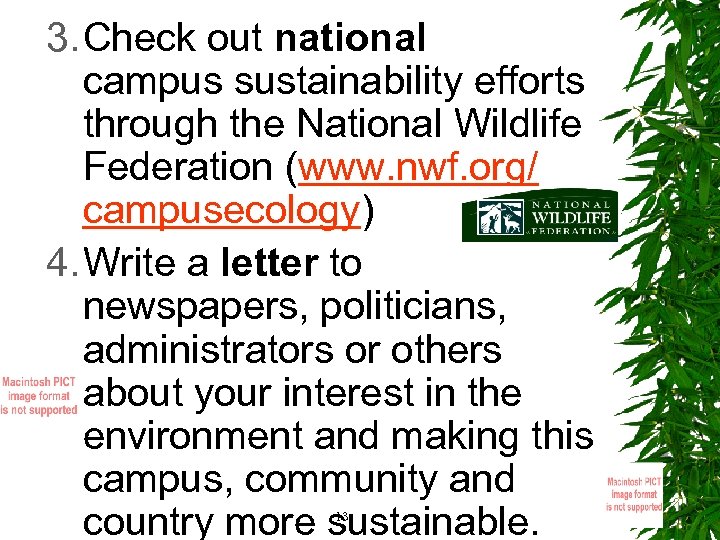 3. Check out national campus sustainability efforts through the National Wildlife Federation (www. nwf.