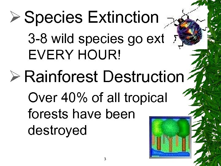 Ø Species Extinction 3 -8 wild species go extinct EVERY HOUR! Ø Rainforest Destruction