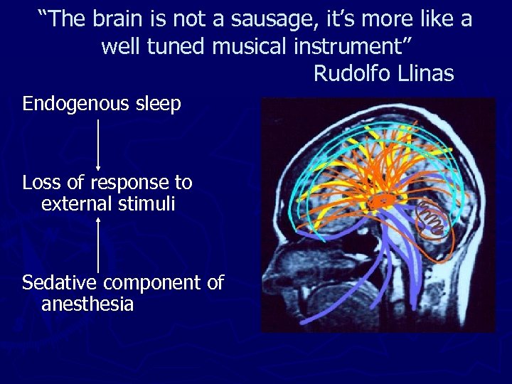 “The brain is not a sausage, it’s more like a well tuned musical instrument”