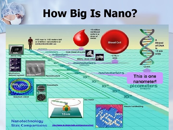 How Big Is Nano? This is one nanometer! http: //www. terressentials. com/exposure. html 