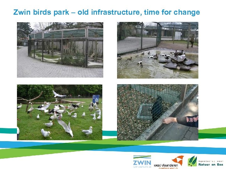 Zwin birds park – old infrastructure, time for change 