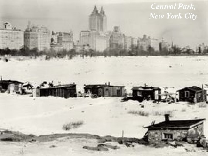 Central Park, New York City 