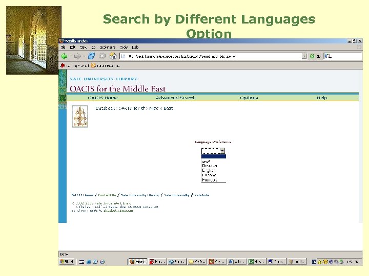 Search by Different Languages Option 