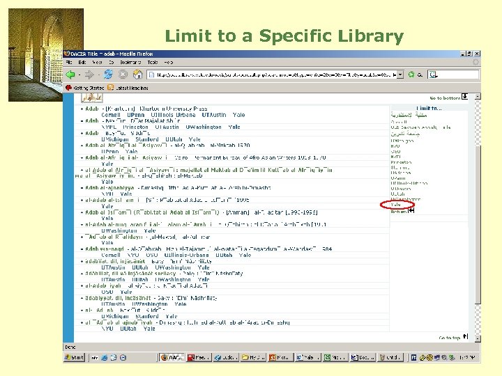Limit to a Specific Library 