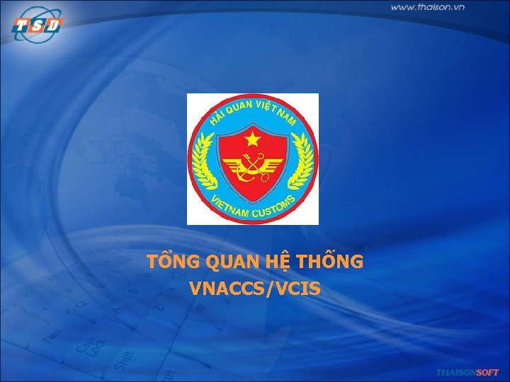 TỔNG QUAN HỆ THỐNG VNACCS/VCIS 