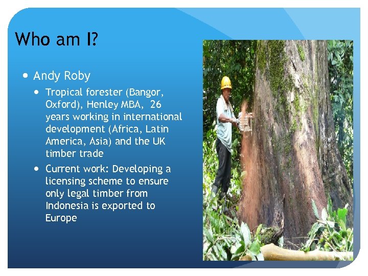 Who am I? Andy Roby Tropical forester (Bangor, Oxford), Henley MBA, 26 years working