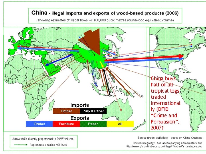 China buys half of all tropical logs traded international ly (DFID “Crime and Persuasion”,