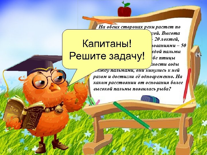 На обеих сторонах реки растет по пальме , одна против другой. Высота одной 30