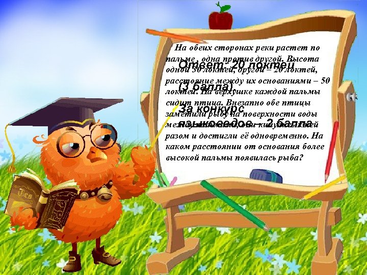 На обеих сторонах реки растет по пальме , одна против другой. Высота Ответ: 20