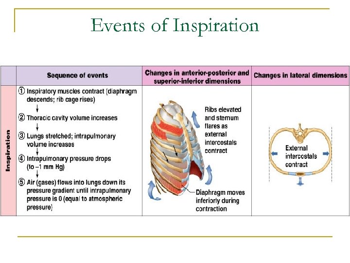 Events of Inspiration 