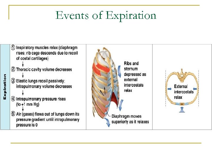 Events of Expiration 