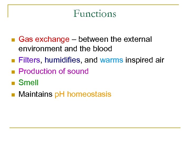 Functions n n n Gas exchange – between the external environment and the blood