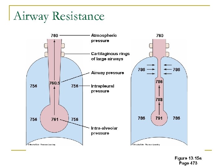 Airway Resistance 