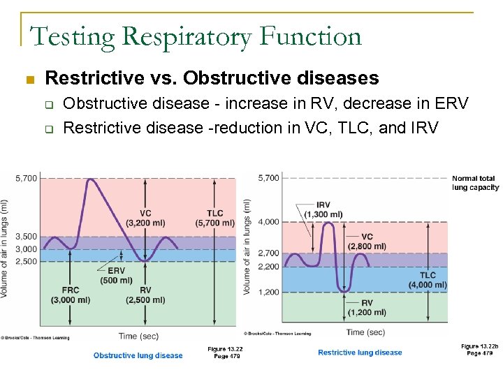 Testing Respiratory Function n Restrictive vs. Obstructive diseases q q Obstructive disease - increase