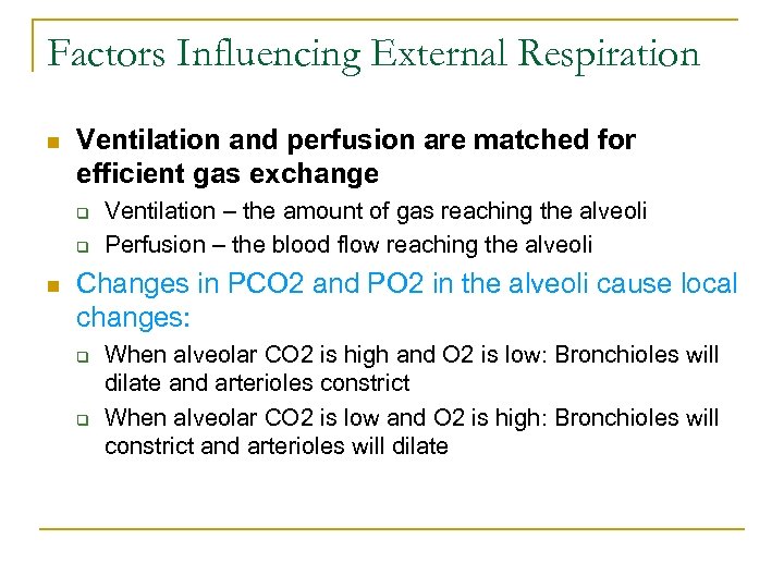 Factors Influencing External Respiration n Ventilation and perfusion are matched for efficient gas exchange