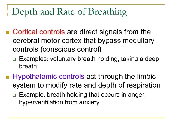 Depth and Rate of Breathing n Cortical controls are direct signals from the cerebral
