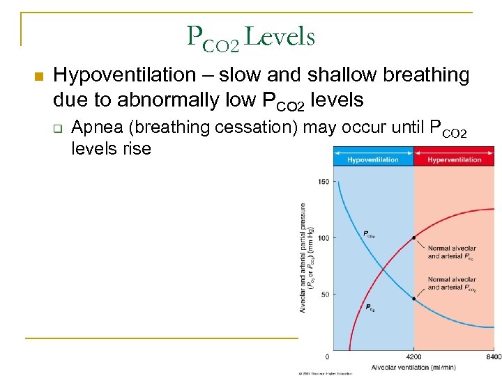 PCO 2 Levels n Hypoventilation – slow and shallow breathing due to abnormally low