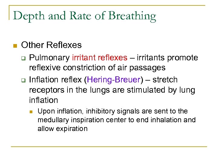 Depth and Rate of Breathing n Other Reflexes q q Pulmonary irritant reflexes –