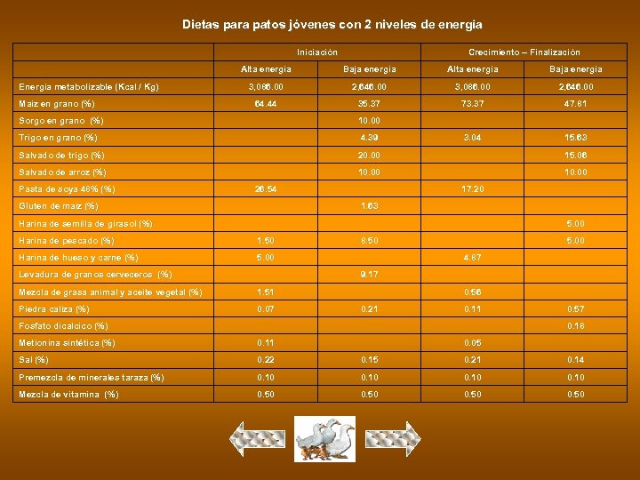 Dietas para patos jóvenes con 2 niveles de energía Iniciación Crecimiento – Finalización Alta