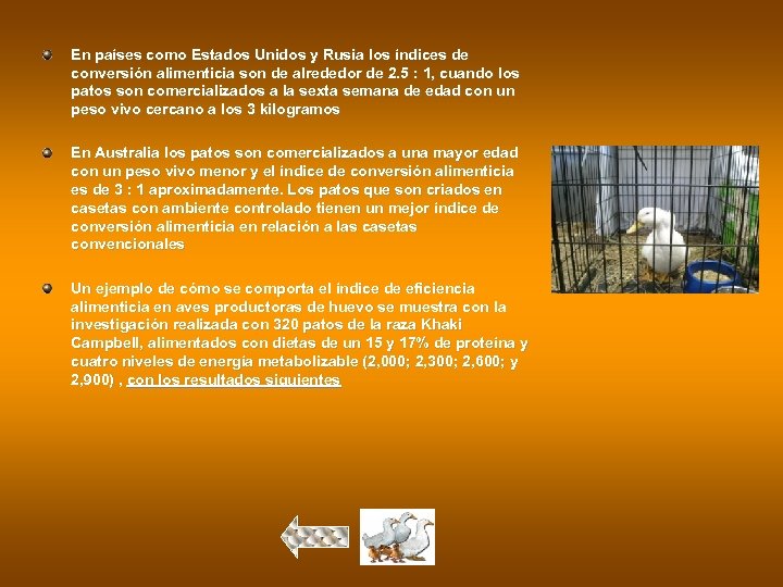 En países como Estados Unidos y Rusia los índices de conversión alimenticia son de